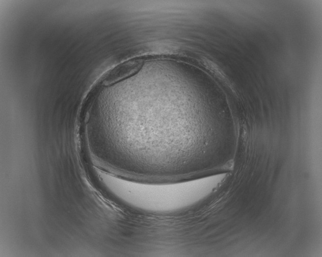 X0000060570676200511031310