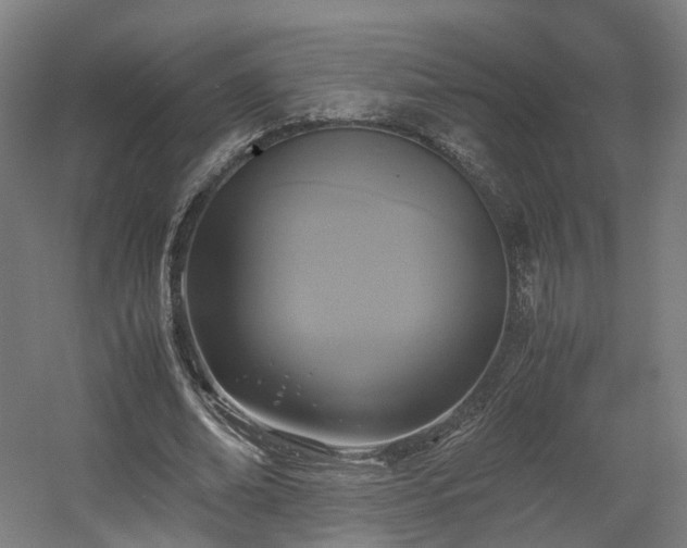 X0000060570678200511031310