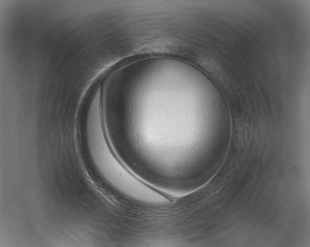 X0000060570680200511031310