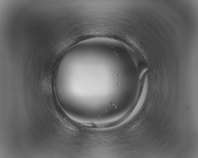 X0000060570681200511031310
