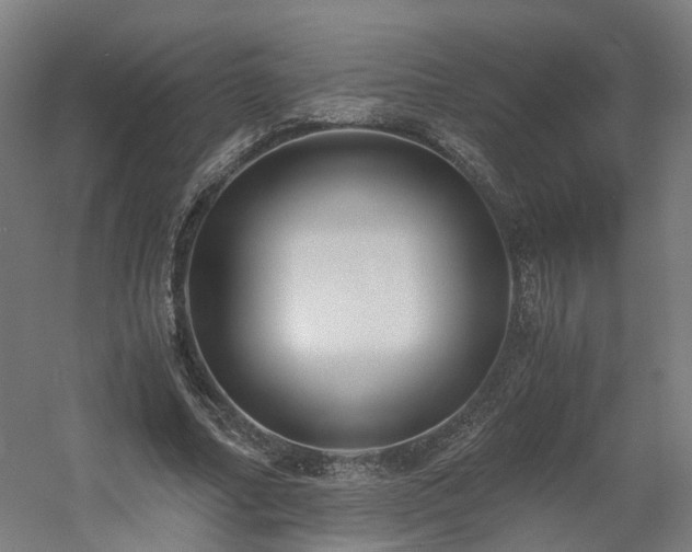 X0000060570682200511031310