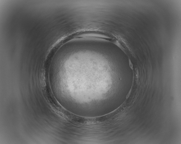 X0000060570684200511031310