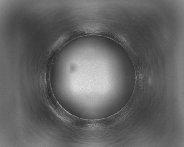 X0000060570686200511031310