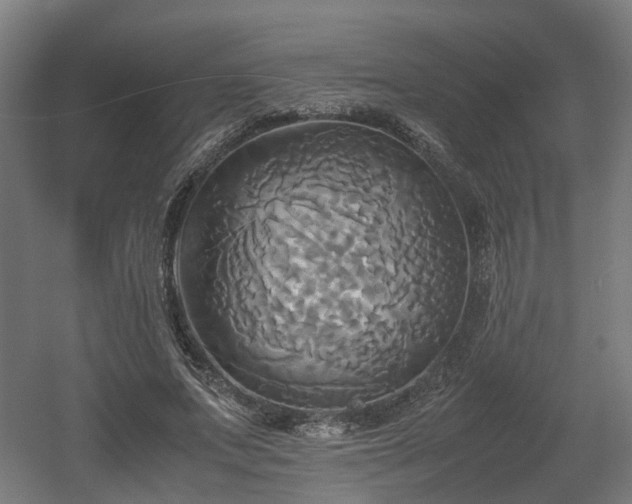 X0000060570687200511031310