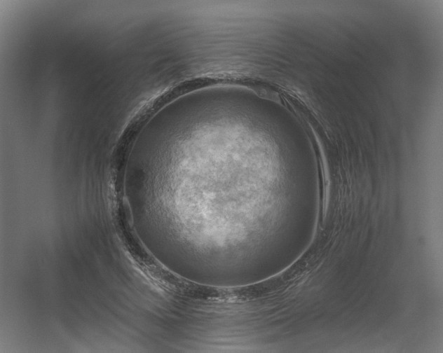 X0000060570688200511031310
