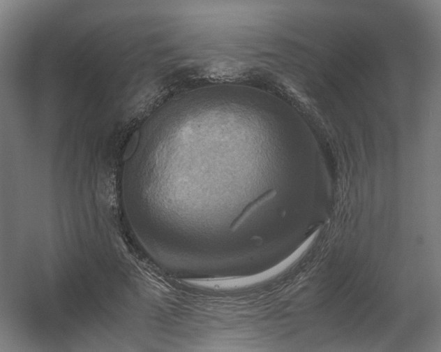 X0000060570689200511031310
