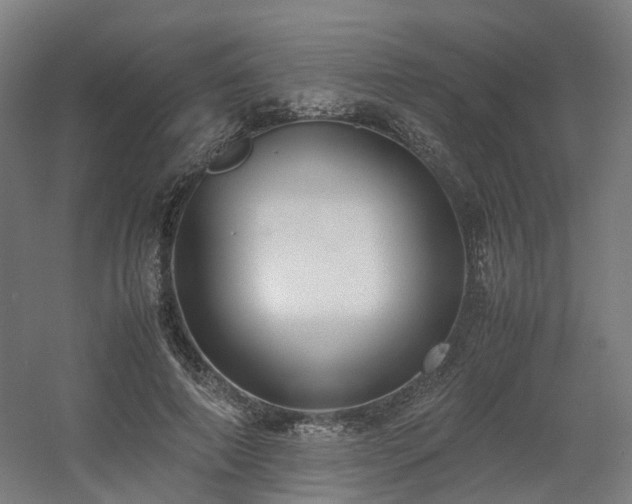X0000060570690200511031310