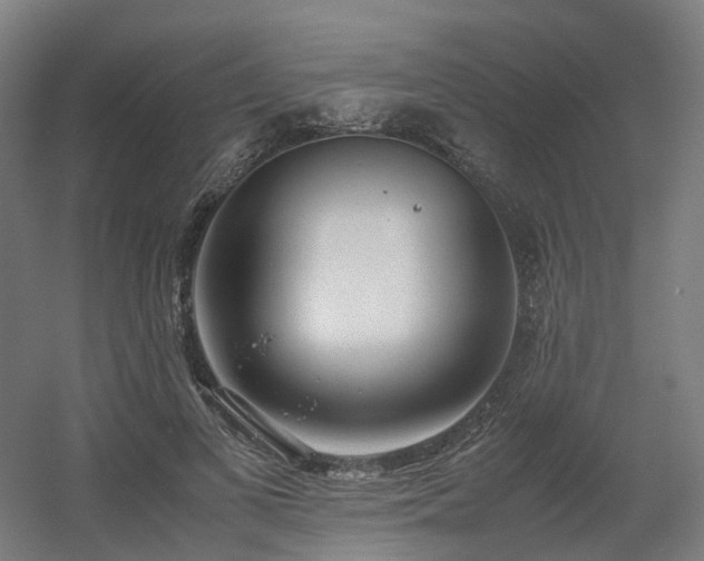 X0000060570693200511031310