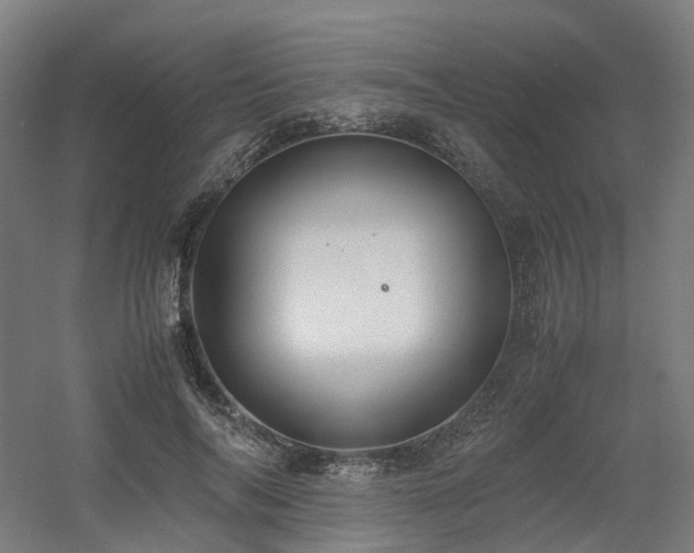 X0000060570694200511031310