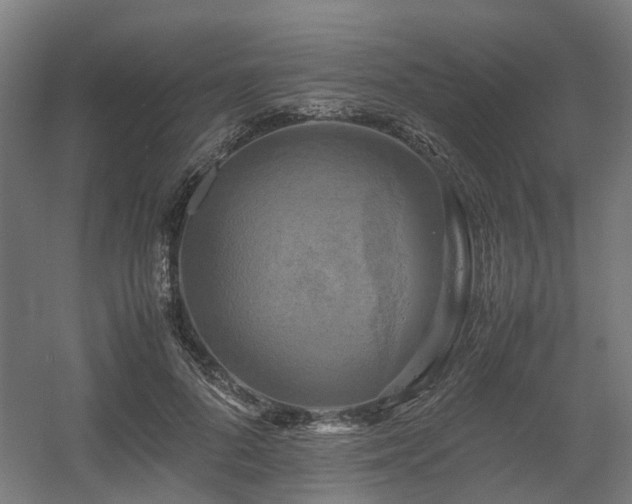X0000060570696200511031310