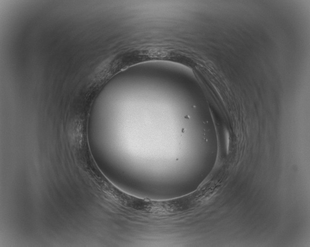 X0000060570697200511031310