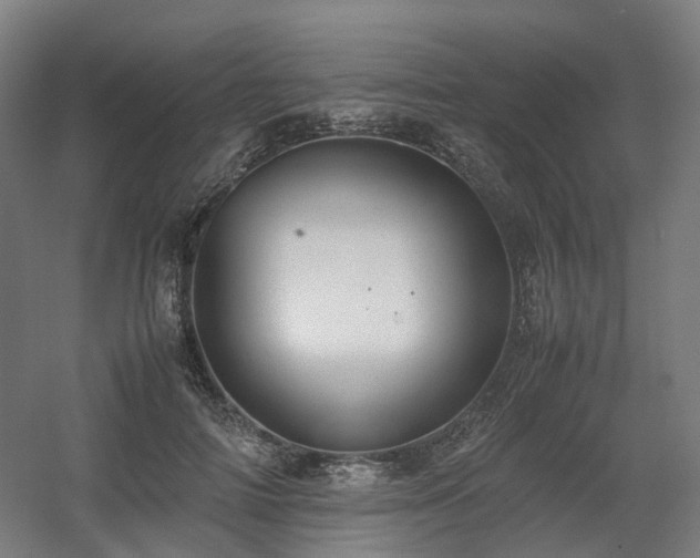 X0000060570698200511031310