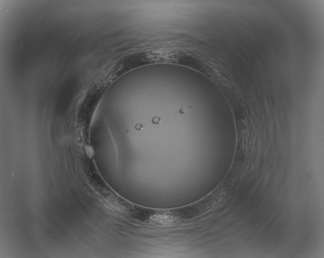 X0000060570699200511031310