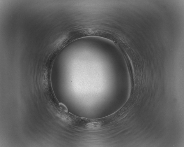 X0000060570700200511031310