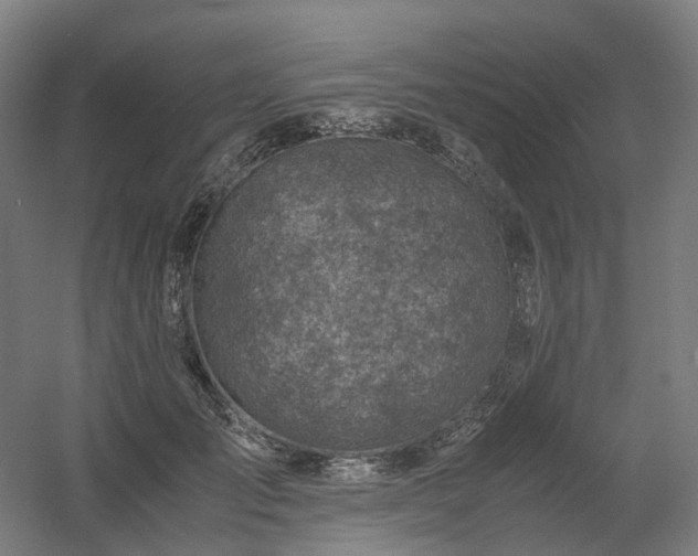 X0000060570701200511031310