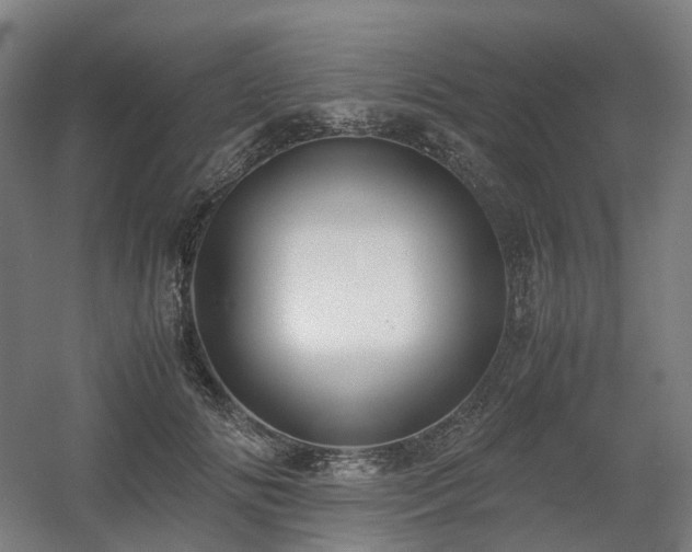 X0000060570702200511031309