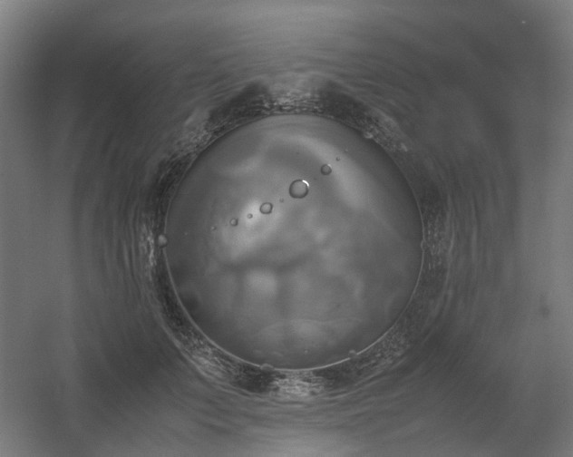 X0000060570703200511031309