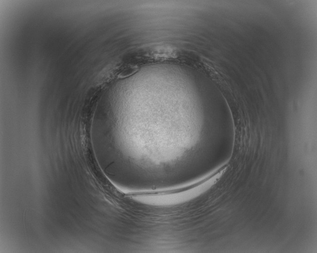 X0000060570704200511031309