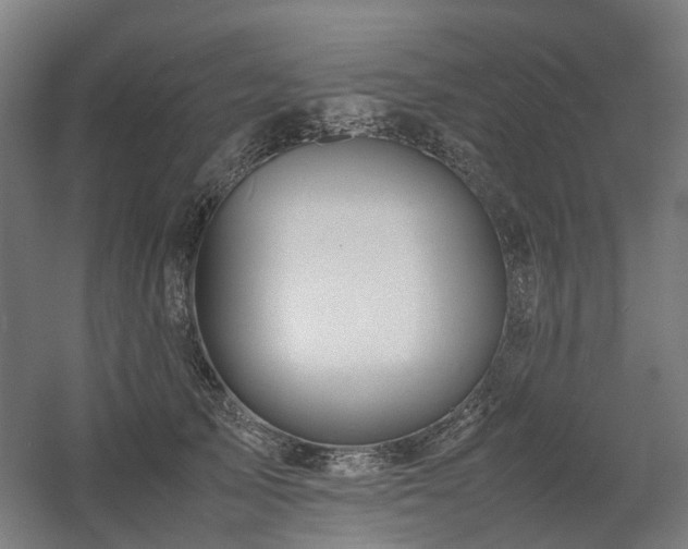 X0000060570705200511031309