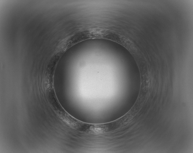 X0000060570706200511031309