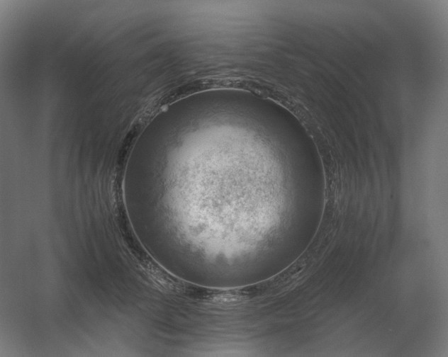 X0000060570708200511031309
