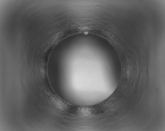 X0000060570710200511031309