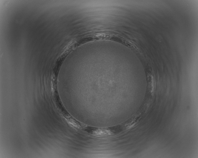 X0000060570712200511031309