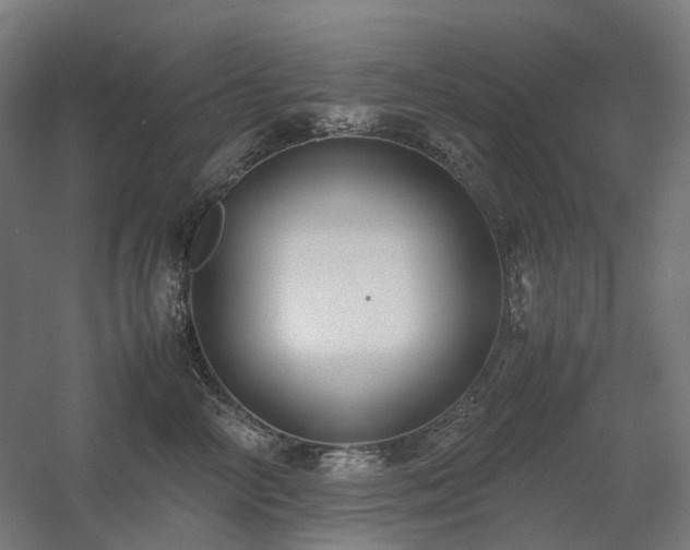 X0000060570714200511031309