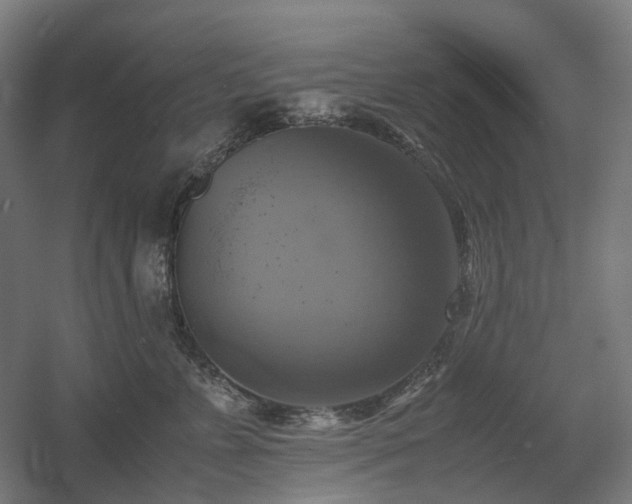 X0000060570715200511031309