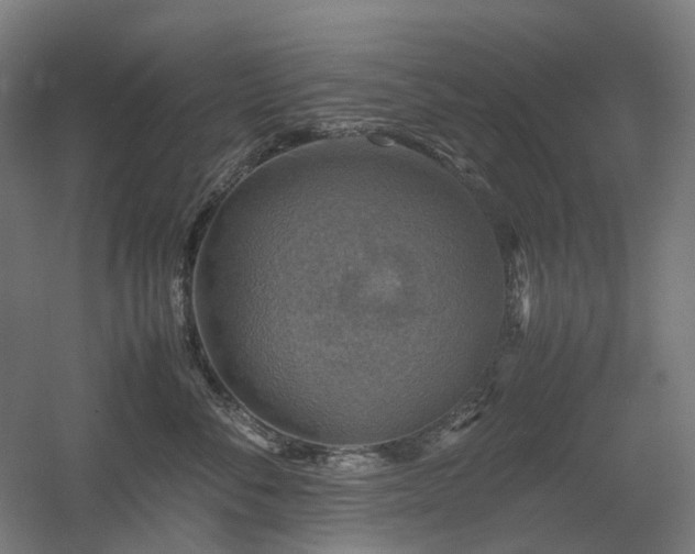 X0000060570716200511031309