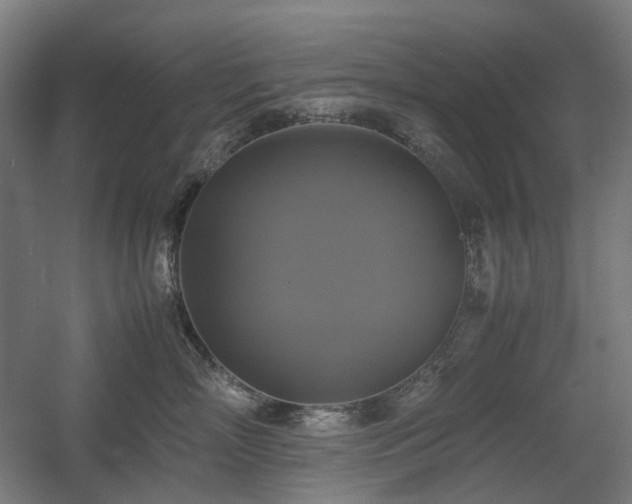 X0000060570718200511031309