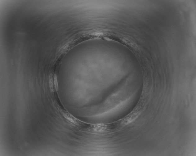 X0000060570720200511031309