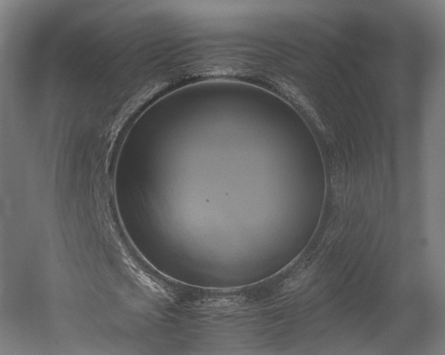 X0000060570721200511031308