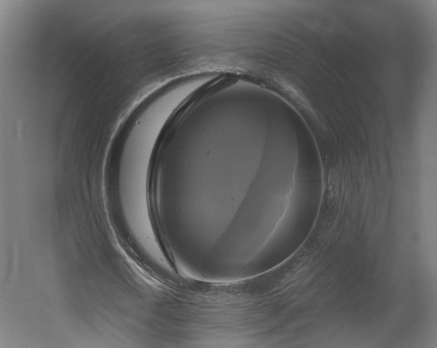 X0000060570722200511031308