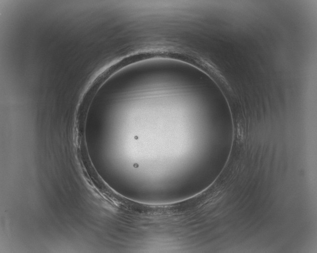 X0000060570724200511031308