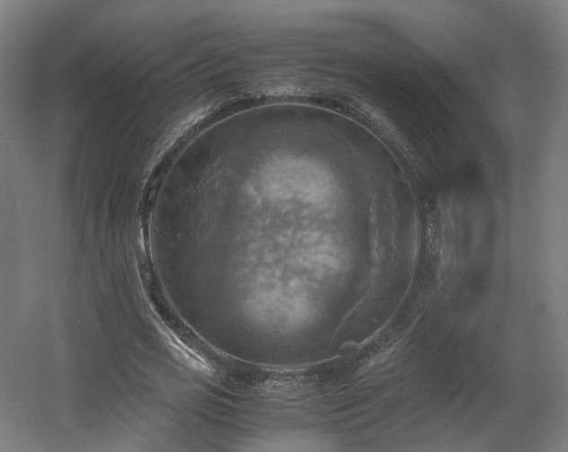 X0000060570725200511031308