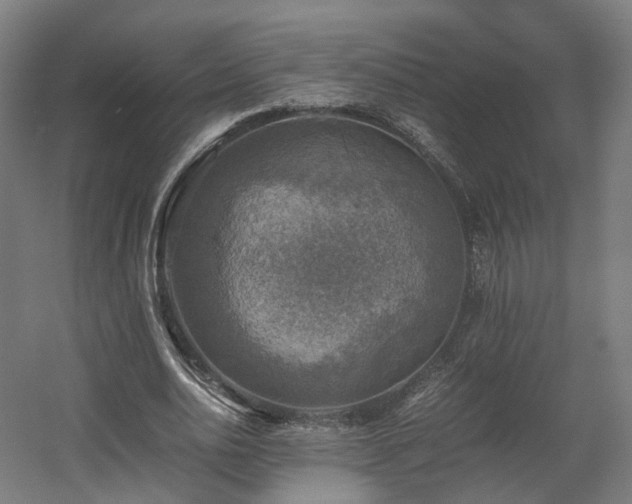 X0000060570726200511031308