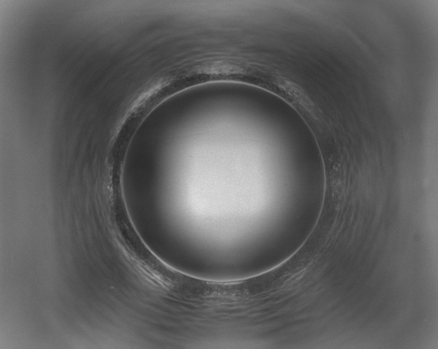 X0000060570727200511031308