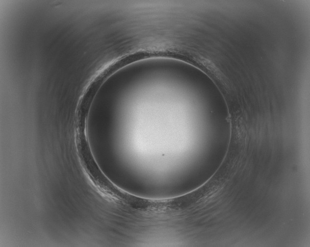 X0000060570728200511031308