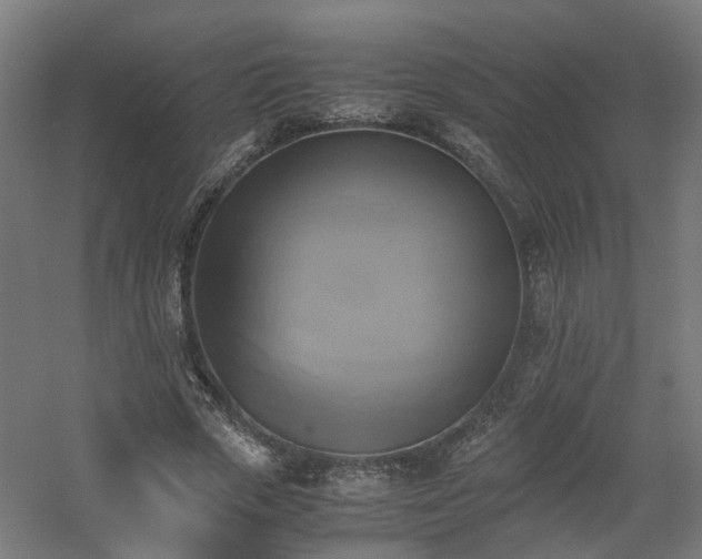X0000060570729200511031308