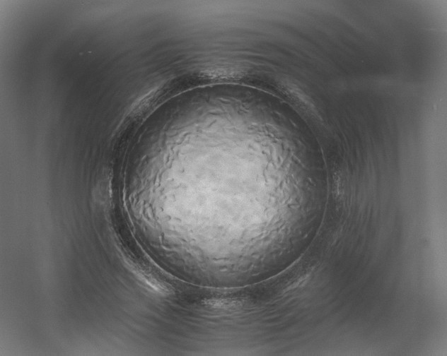 X0000060570733200511031309