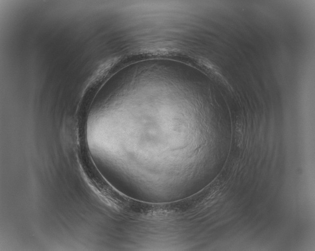 X0000060570734200511031309
