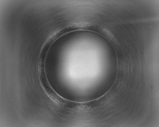 X0000060570736200511031309