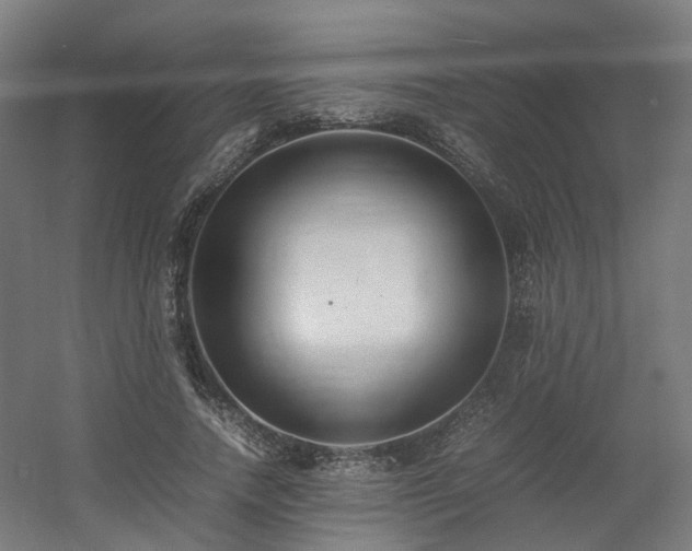 X0000060570738200511031309