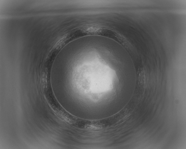 X0000060570739200511031309