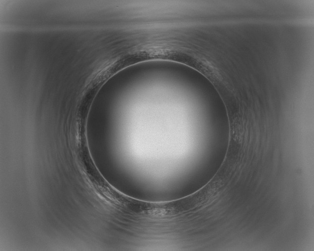 X0000060570740200511031309