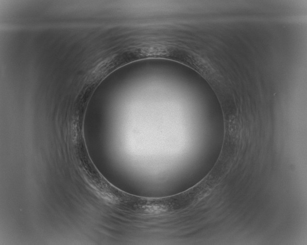 X0000060570741200511031309