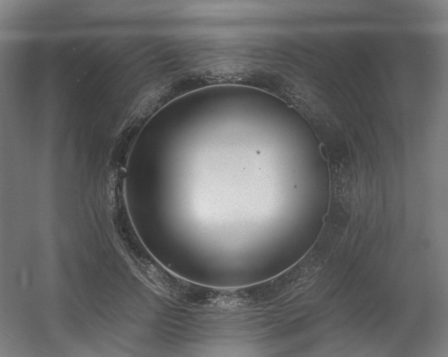 X0000060570742200511031309