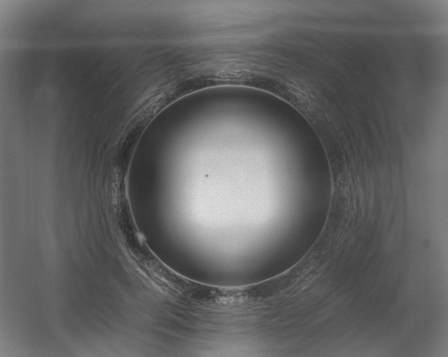 X0000060570744200511031309