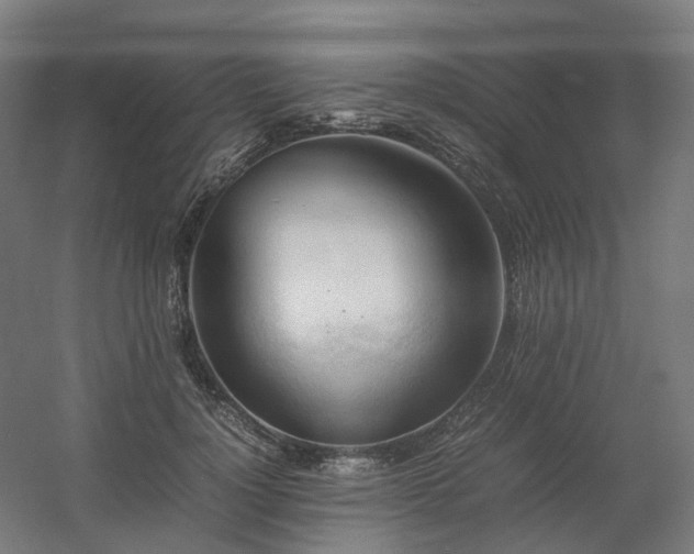 X0000060570748200511031309
